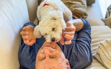 Improve your dog’s health; follow these tips to get the best results with hassle free process Improve your dog’s health