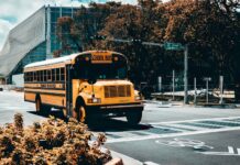 Key Features To Look For In A Transport Management System For Schools Schools