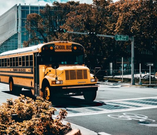 Key Features To Look For In A Transport Management System For Schools Schools